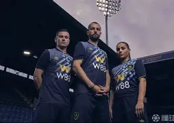 伯恩利客场战平诺里奇，意外一幕震惊球迷(伯恩利22战平曼联全场数据)